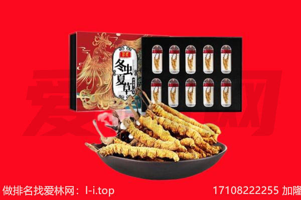 金昌回收虫草.jpg